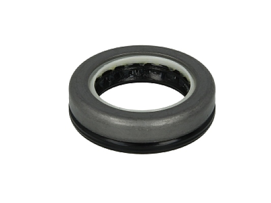 Семеринг 28x42x11