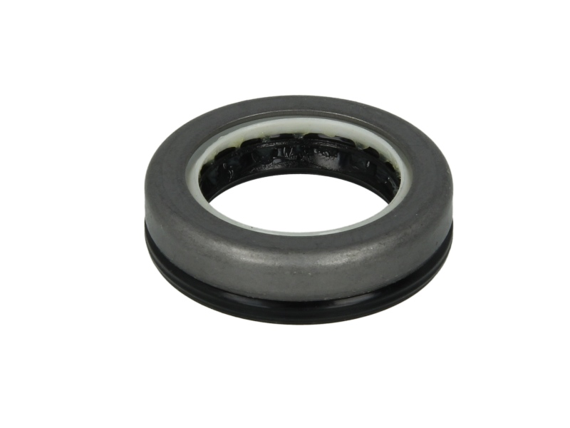 Семеринг 28x42x11